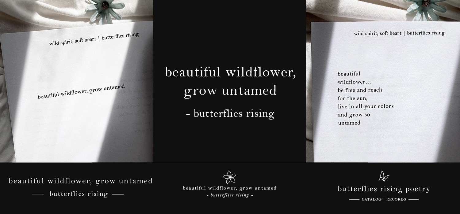 beautiful wildflower, grow untamed